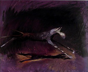 Image description is not available for 1996.069